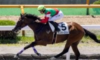 【函館5R新馬戦結果】断然人気のダンスウィズジョイが大差勝ち