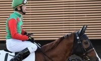 【福島1R・障害未勝利】シゲルベンガルトラが頚椎骨折で死亡、3歳時にはダートOPで活躍