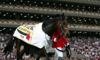 【愛オークス】ディープインパクト産駒スノーフォール、今日も8.1/2馬身差の大楽勝！/海外競馬レース結果