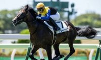 【函館5R新馬戦結果】ディアドラの全弟リューベックがデビュー勝ち