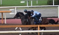 母系にダービー馬レイデオロ、サトノジークが新潟芝1800mでデビュー/関西馬メイクデビュー情報