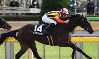 【先週のJRA抹消馬】スパーキングレディーC2着のメイクハッピー、アイスバブルの全妹レースガーデンなど
