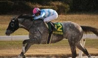 【マーキュリーC・馬体重】バンクオブクラウズは523kg(+9)、マスターフェンサーは498kg(0)