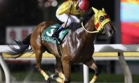 【船橋・習志野きらっとスプリント結果】コパノフィーリングが移籍後2連勝で重賞初V