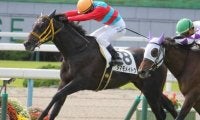 【アイビスSD】直線競馬でAIが指名したのは再度の好走を目論むあの馬