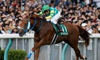 【アイビスSD予想】開幕週の名物レースを制するのは「千直の鬼」か、それとも「逆襲の穴馬」か？