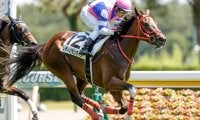 【新潟5R新馬戦結果】レディバランタインが押し切りV　サトノアラジン産駒初勝利