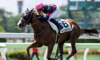 【函館5R新馬戦結果】トップキャストが逃げ切り快勝