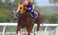 【金沢・北国王冠】ハクサンアマゾネスが断然人気に応え重賞3連勝