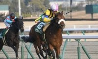 【クイーンS見どころ】マジックキャッスルが重賞2勝目を狙う
