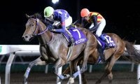【門別競馬情報】将来の大活躍が期待される逸材ぞろい！距離未経験馬も多く、波乱の可能性も「第15回ブリーダーズゴールドジュニアカップH1」/地方競馬情報