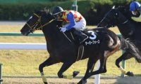 【門別競馬情報】門別初勝利なるかテーオーフォース！1700mは連対率100％バンカブルスターの巻き返しにも注目「サトノダイヤモンド・プレミアム」/地方競馬情報