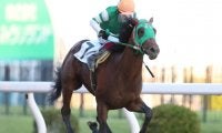 【川崎・シャイニングヒーロー賞結果】今野忠成騎手騎乗の伏兵エスプリピートが勝利