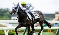 【函館5R新馬戦結果】シルバーステート産駒ロンが逃げ切って完勝
