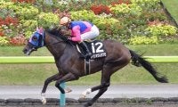 【レパードS見どころ】前走圧勝のメイショウムラクモが連勝を狙う