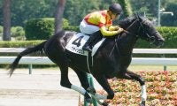 【新馬/新潟6R】ドゥラメンテ産駒 ジャスティンヴェルが5馬身差圧勝