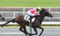 【レパードS想定騎手】キャリアリズムは福永祐一騎手、メイショウムラクモは柴田善臣騎手