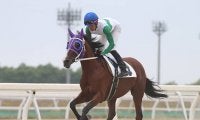 “7歳デビュー馬”と”10歳未勝利馬”が対決！ 最後のトウカイテイオー産駒、初勝利なるか？
