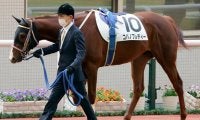 【門別競馬情報】得意の短距離に戻し勝利つかむかスティールグレート！JRAから転入5戦4勝コパノフレディーほか上位人気候補そろって外枠に「コロナに負けるな！日高町特別」/地方競馬情報