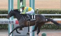 エルムＳは、ダート1700ｍが得意な６歳馬２頭に注目。血統からも好走の予感