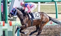 【レパードS・馬体重】メイショウムラクモは482kg(+12)、ホッコーハナミチは472kg(+8)