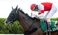 【勝負の分かれ目 エルムS】松田騎手が武器を引き出し、スワーヴアラミスが重賞2勝目