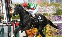 【先週のJRA抹消馬】リオンディーズの全弟グローブシアター、19年の新潟ジャンプS覇者マイブルーヘブンなど