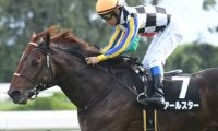 【小倉記念展望】小回りにしては差し馬の台頭が多い一戦