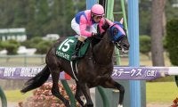 ダートでも活躍馬を出すネオユニヴァース産駒メイショウムラクモの今後に要注目