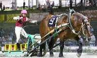 5日間で重賞8レース！地方競馬は週末まで注目レース目白押し