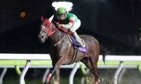 【ブリーダーズGC見どころ】交流重賞3勝のマルシュロレーヌ、重賞初制覇を狙うリネンファッションなどが出走