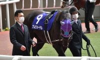 小倉12Rで競走中止のナムラメーテルは予後不良、幸英明騎手は異状なし