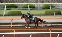 母は米G1馬のダノンアーリーがデビュー/関西馬メイクデビュー情報