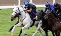 【札幌記念展望】夏競馬唯一のGII、あの馬の巻き返しを期待したい