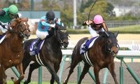 【北九州記念想定騎手】モズスーパーフレアは松若風馬騎手、アウィルアウェイは松山弘平騎手