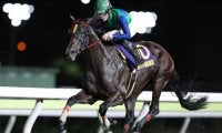 【大井・黒潮盃結果】船橋のジョエルが5馬身差圧勝で重賞2勝目