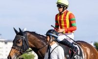 日本馬イカットが仏G1オペラ賞、エントシャイデンがフォレ賞などに登録