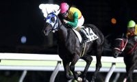 【大井・はやぶさ特別結果】左海誠二騎手騎乗の3番人気カイルが勝利