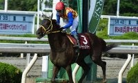 【JRA】テーオーエナジーが園田移籍へ、2018年の兵庫チャンピオンシップ覇者