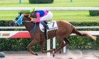【小倉12R】武豊 メイショウヒバリが3馬身差完勝