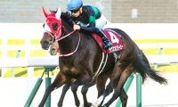【札幌記念予想】グランアレグリア、クロノジェネシスと並ぶ最強5歳世代馬が1番人気の9連敗を止める/JRA重賞レース展望