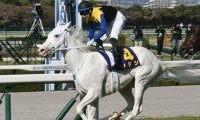 【札幌記念・馬体重】ソダシは472kg(0)、ラヴズオンリーユーは470kg(-8)