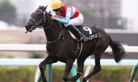 【クローバー賞結果】ロゴタイプ産駒ラブリイユアアイズがデビュー2連勝