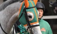 【JRA】カイザースクルーンが予後不良に、2018年の芙蓉S3着馬