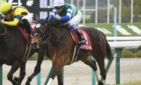 GI前哨戦のキーンランドCと2歳GIIIの新潟2歳Sに注目/今週の競馬界の見どころ