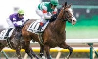 【新潟2歳S見どころ】世代最初のマイル重賞にアライバルなど素質馬が集結！