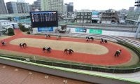 【地方競馬】川崎競馬は9月17日まで無観客開催