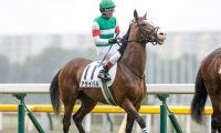 【新潟2歳S予想オッズ】単勝2.1倍で1番人気のアライバルにクレイドル、セリフォスが続く