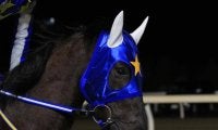 【門別競馬情報】1200mでの初勝利ねらう快足アザワク！そうはさせじと実績馬ソルサリエンテ、フジノパンサーらが自慢の末脚で追い詰める「ロードカナロア・プレミアム」/地方競馬情報
