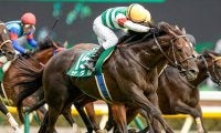 【新潟記念想定】エプソムC覇者ザダル、重賞連勝を狙うトーセンスーリヤなど